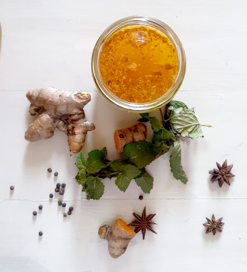 Ginger Bug and Turmeric Bug