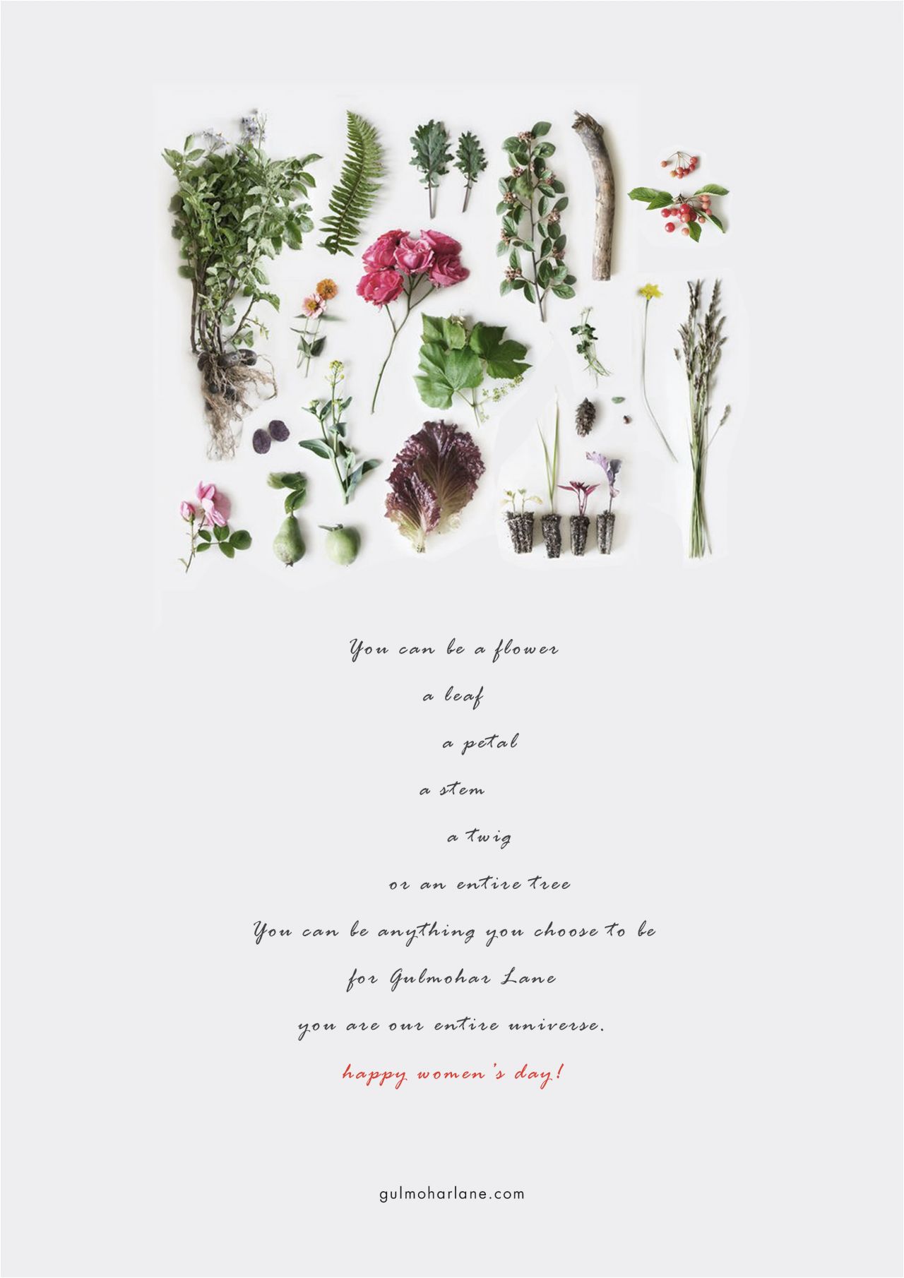 A poem dedicated to all women!