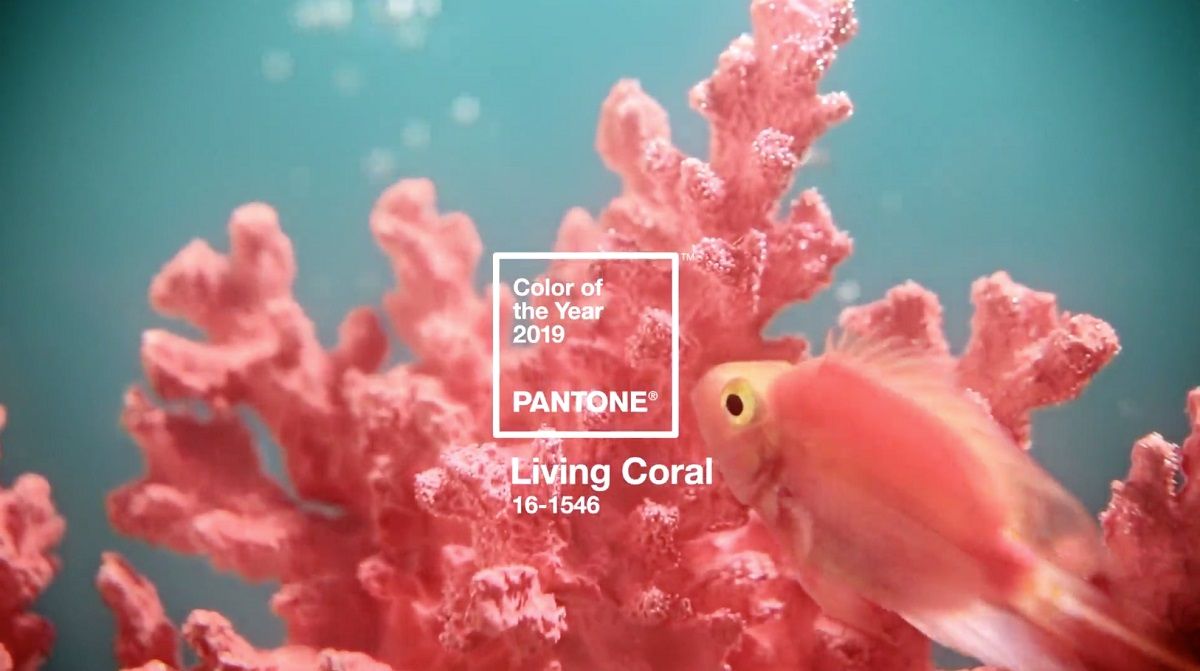 Indulge your Interiors in Pantone of the Year