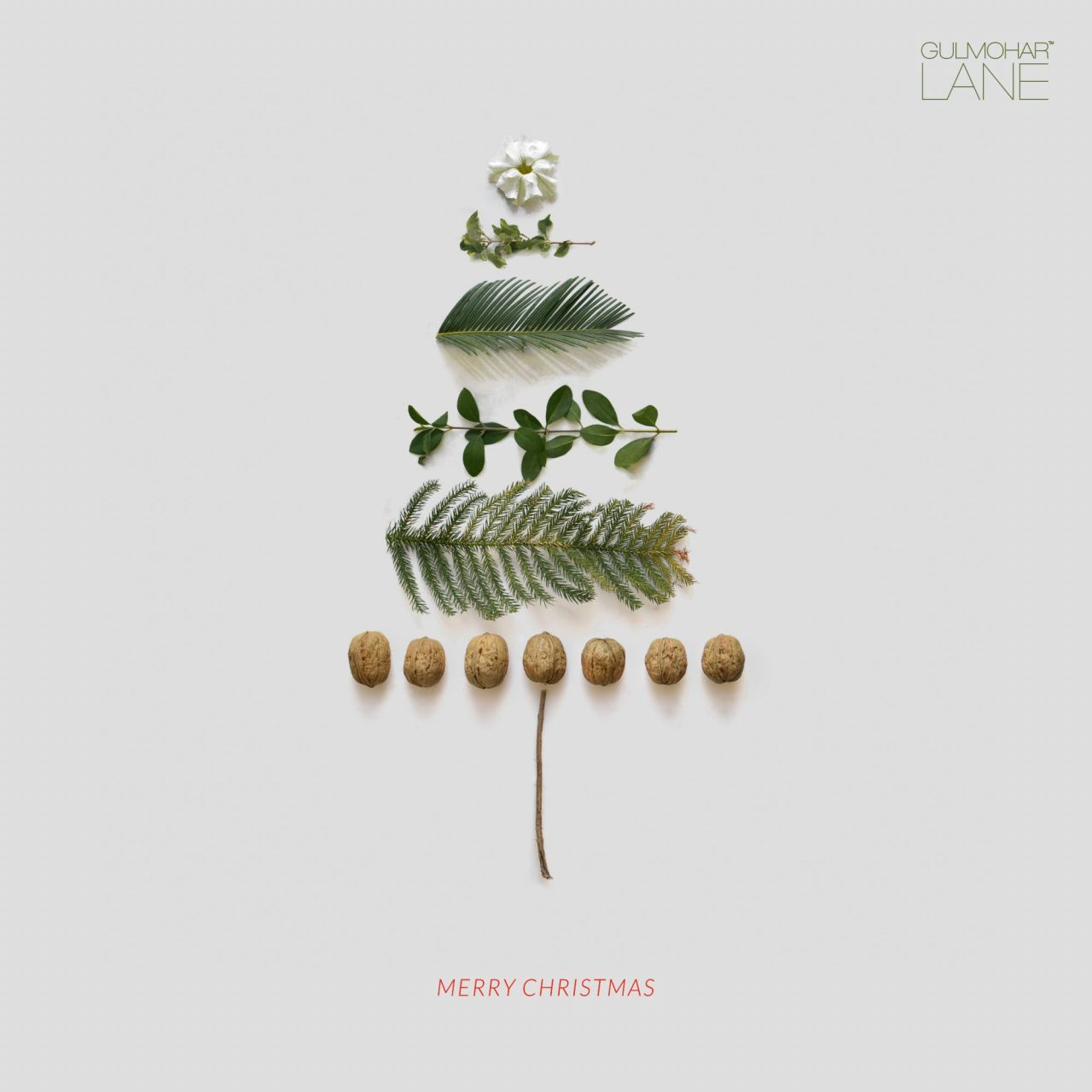 We wish you a MERRY CHRISTMAS!