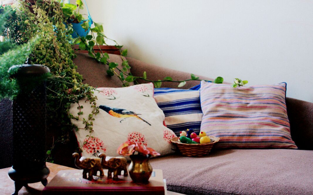 Bring some goodness of melodious tunes and plenty of chirpiness in your indoor!