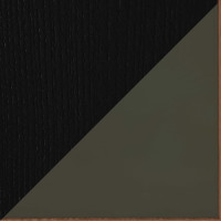 Antique Olive + Midnight