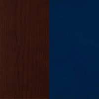 English Chestnut - Ocean