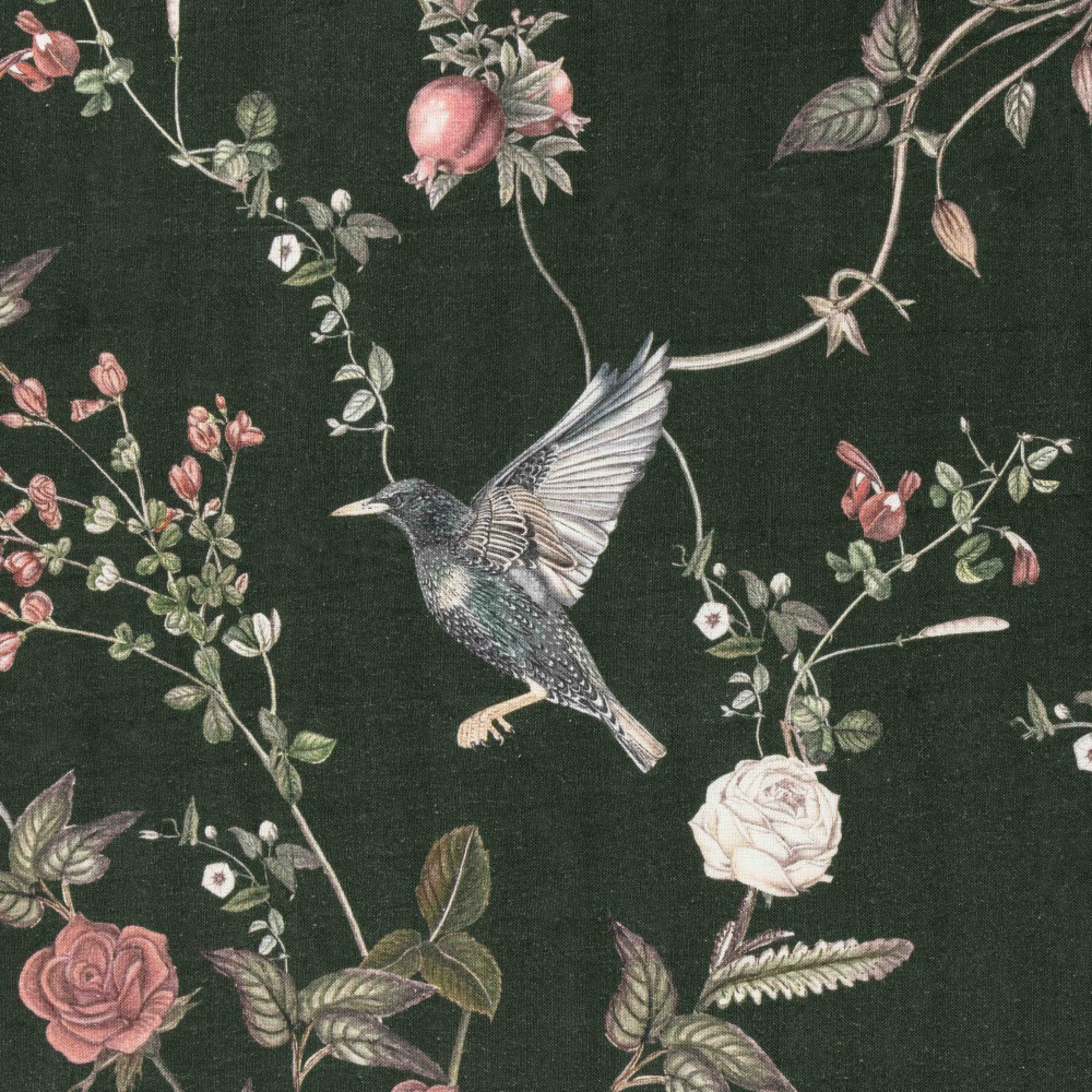 Starlings at The Rose Garden-Monsoon
