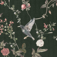Starlings at The Rose Garden-Monsoon