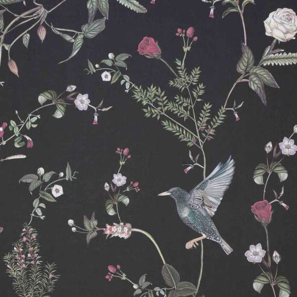 Starlings at Rose Garden Night - Wallpaper Swatch 7&quot; x 10&quot;