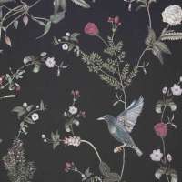 Starlings at Rose Garden Night - Wallpaper Swatch 7&quot; x 10&quot;