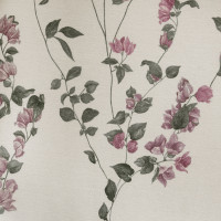 Summer Bougainvilleas