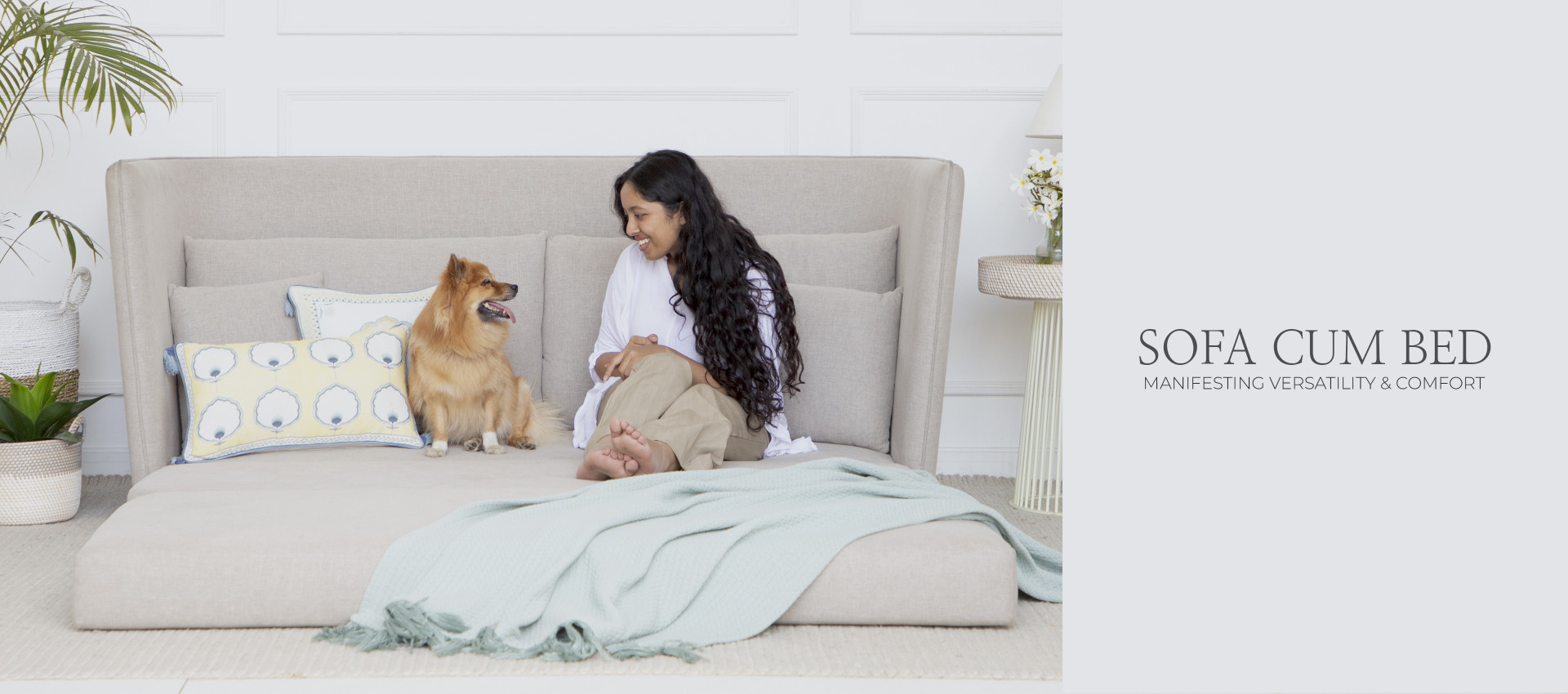 Sofa cum Beds