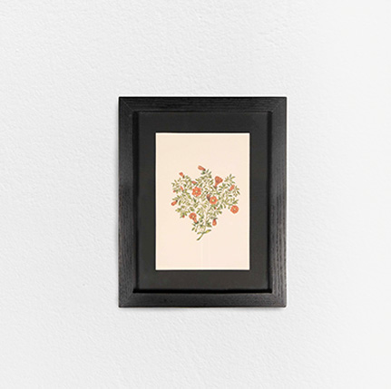 Trumpet Vine Reverie