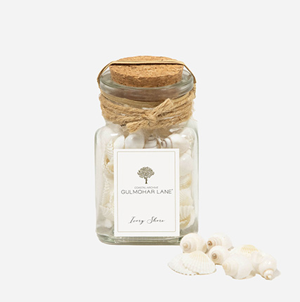 Ivory Shore Decorative Seashells-Small