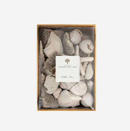 Pebble Shore Decorative Seashells-Large