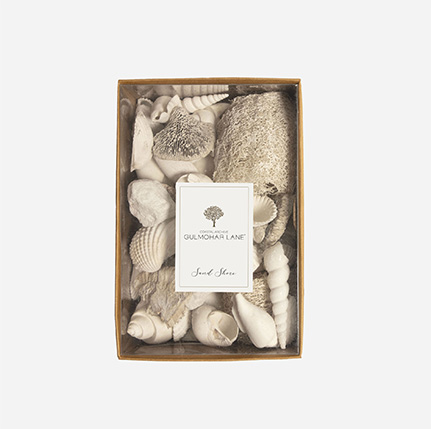 Sand Shore Decorative Seashells-Large