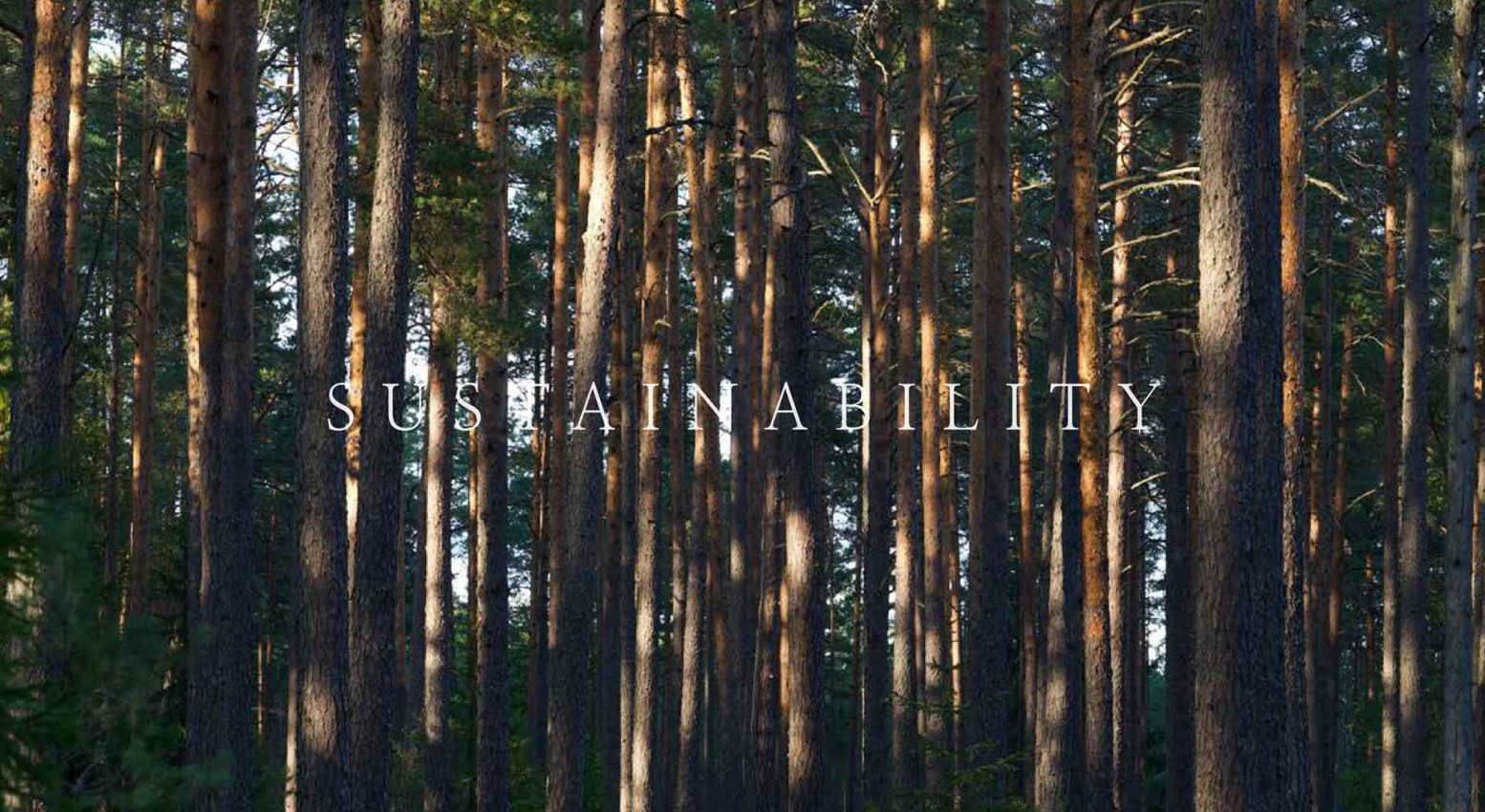Our Belief Sustainibility