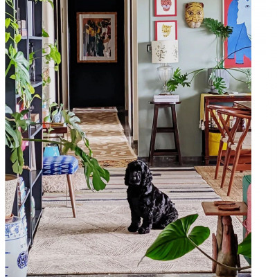 Ms. Devika Narain&#039;s Home,  Mumbai
