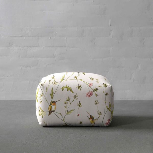 Anna's Hummingbird-Cloud