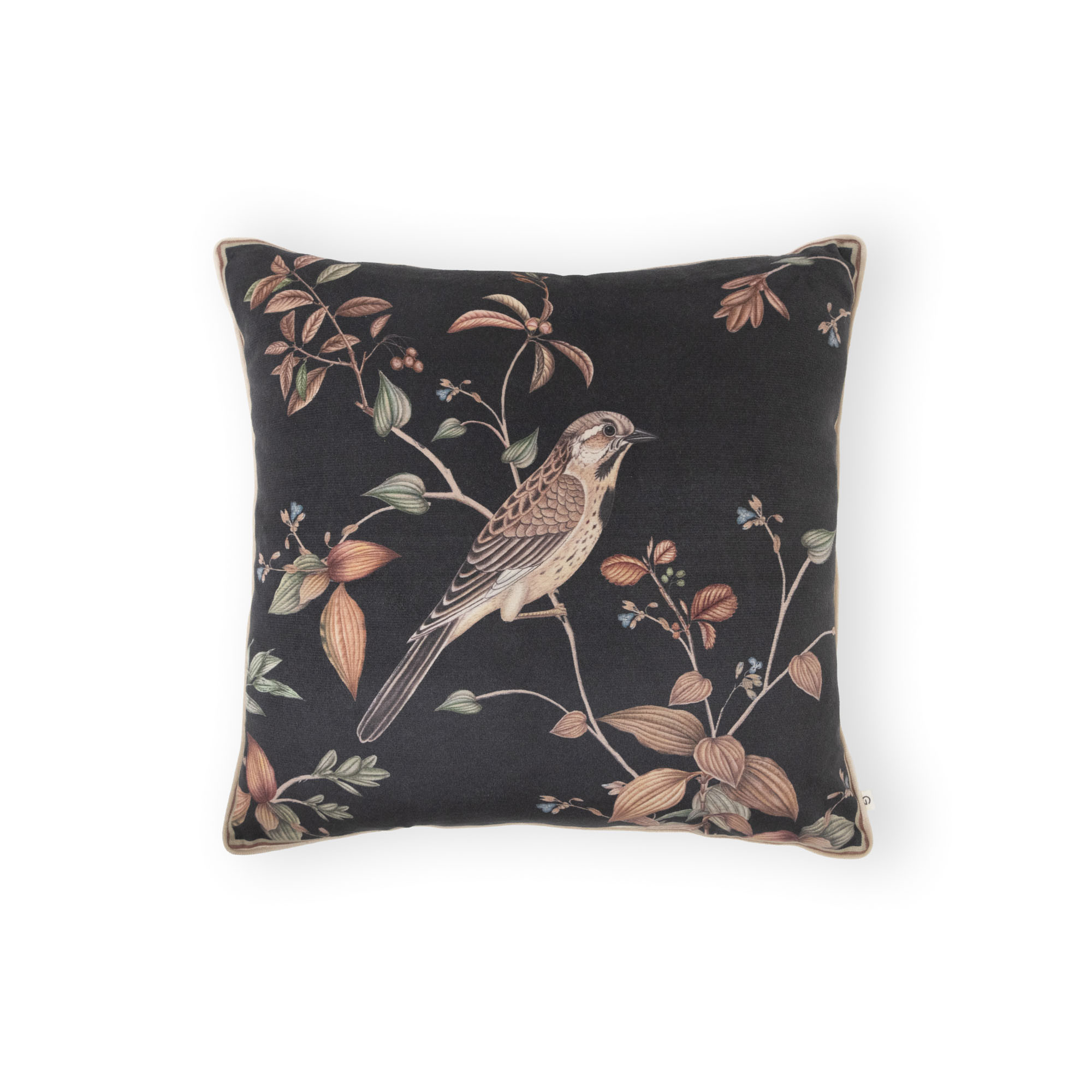A SPARROW IN SALISBURY NIGHT CUSHION COVER