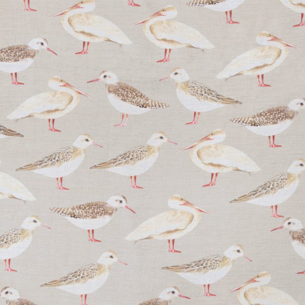 Seagull&#039;s of Virgin Island-Shore (Fabric Swatch)