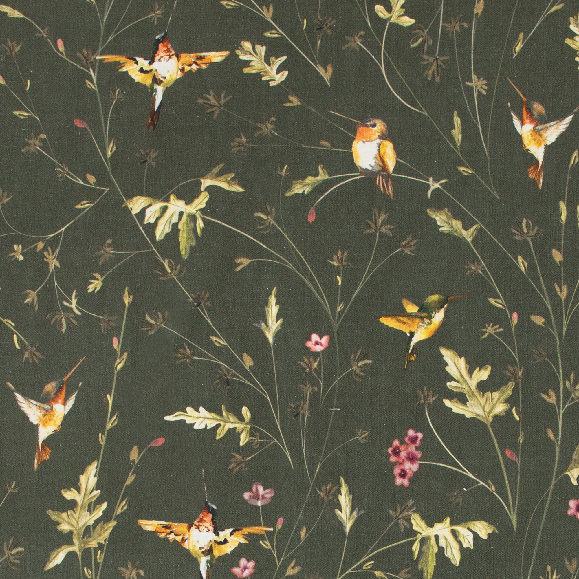 ANNA'S HUMMINGBIRD-DEEP FOREST (FABRIC SWATCH)