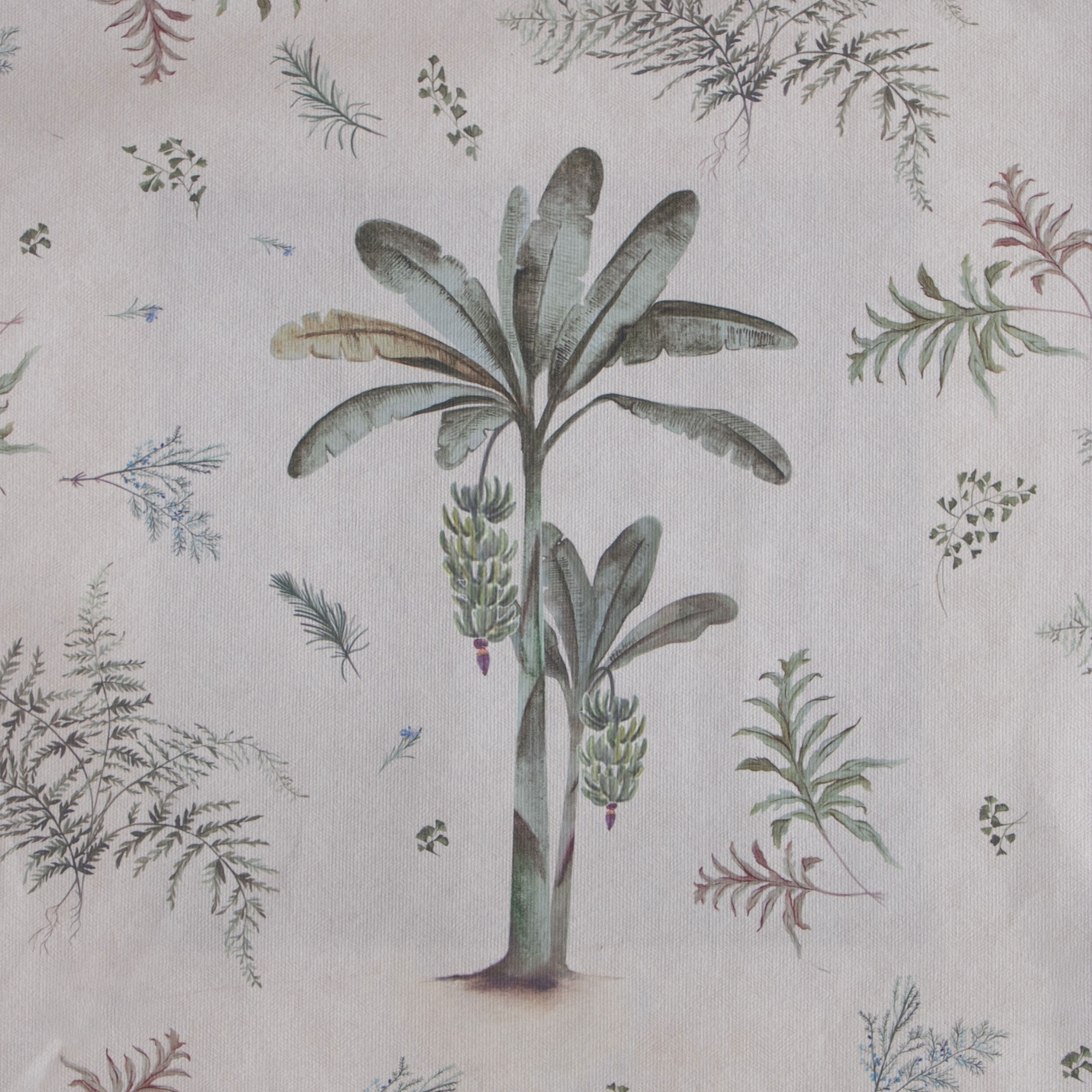 Banana Tree - Wallpaper