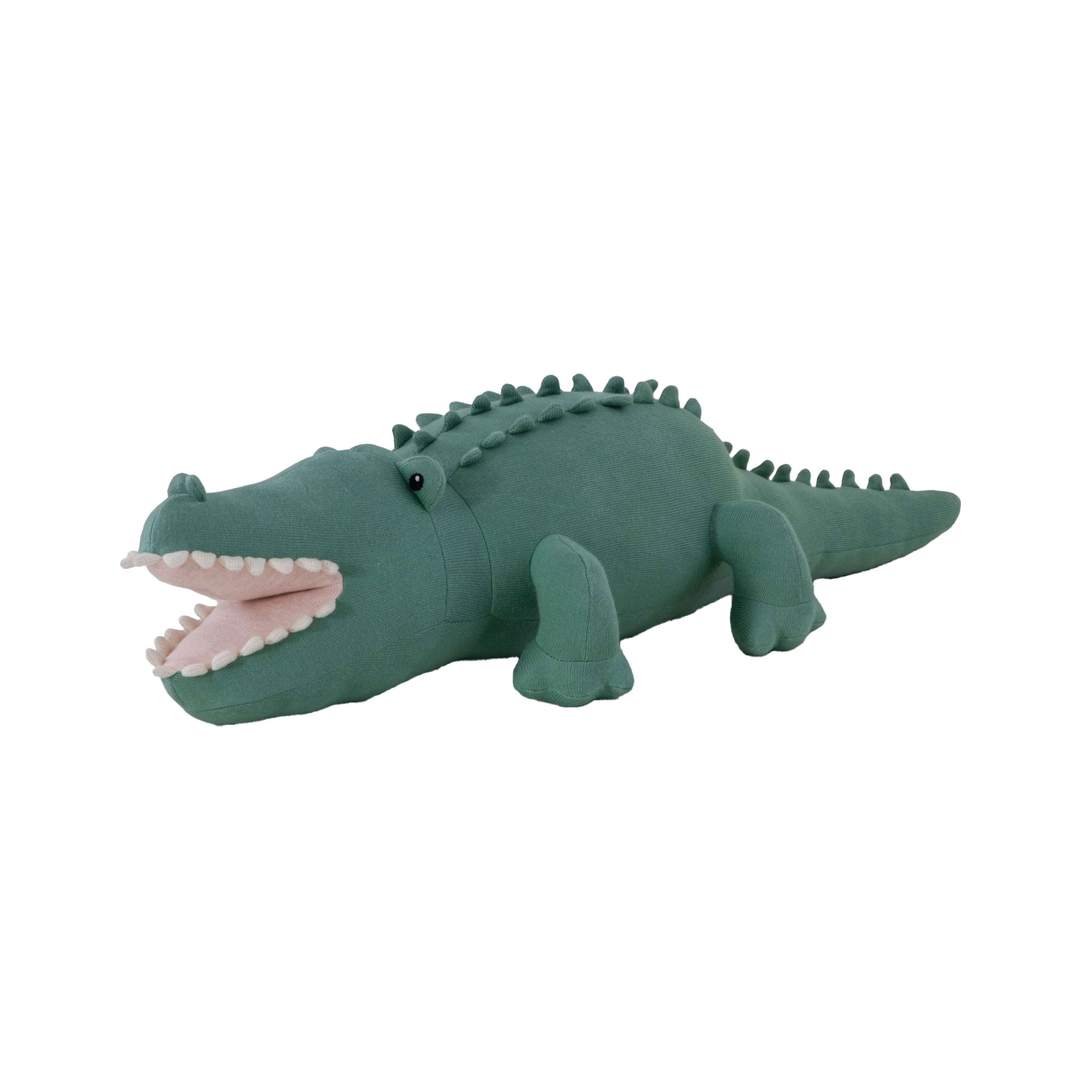 CAPTAIN CROCODILE