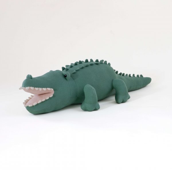 Captain Crocodile