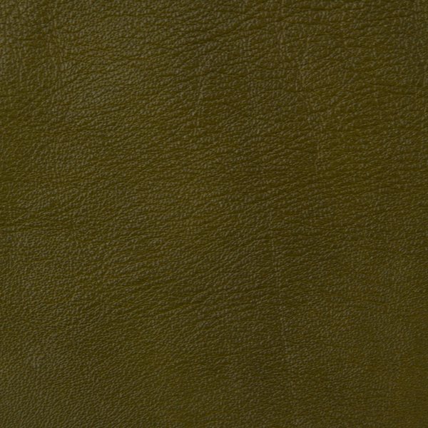 ETERNITY OLIVE GENUINE LEATHER SWATCH