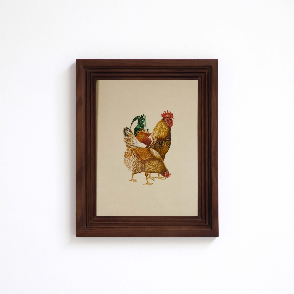 The Coop Companions