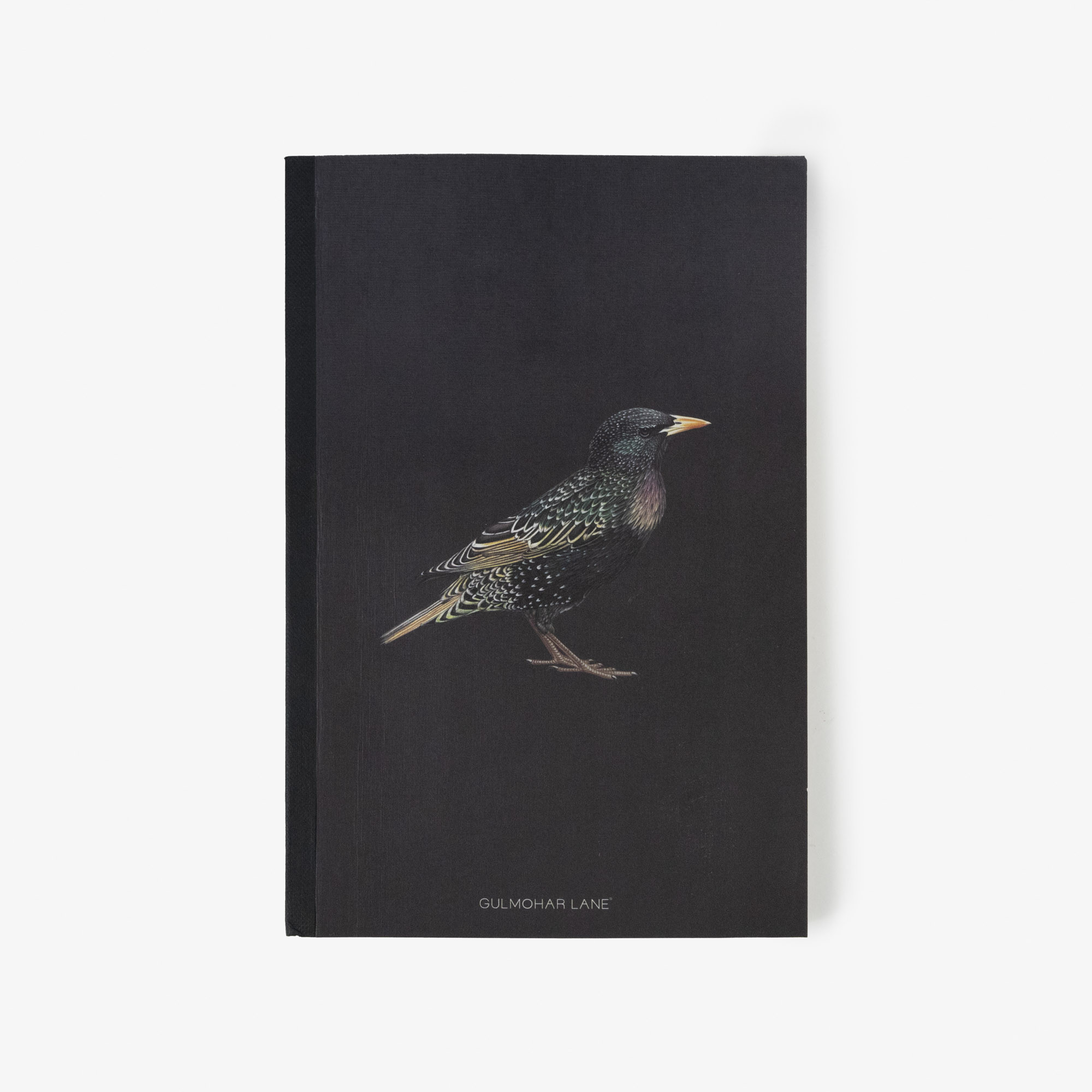STARLING BIRD DIARY