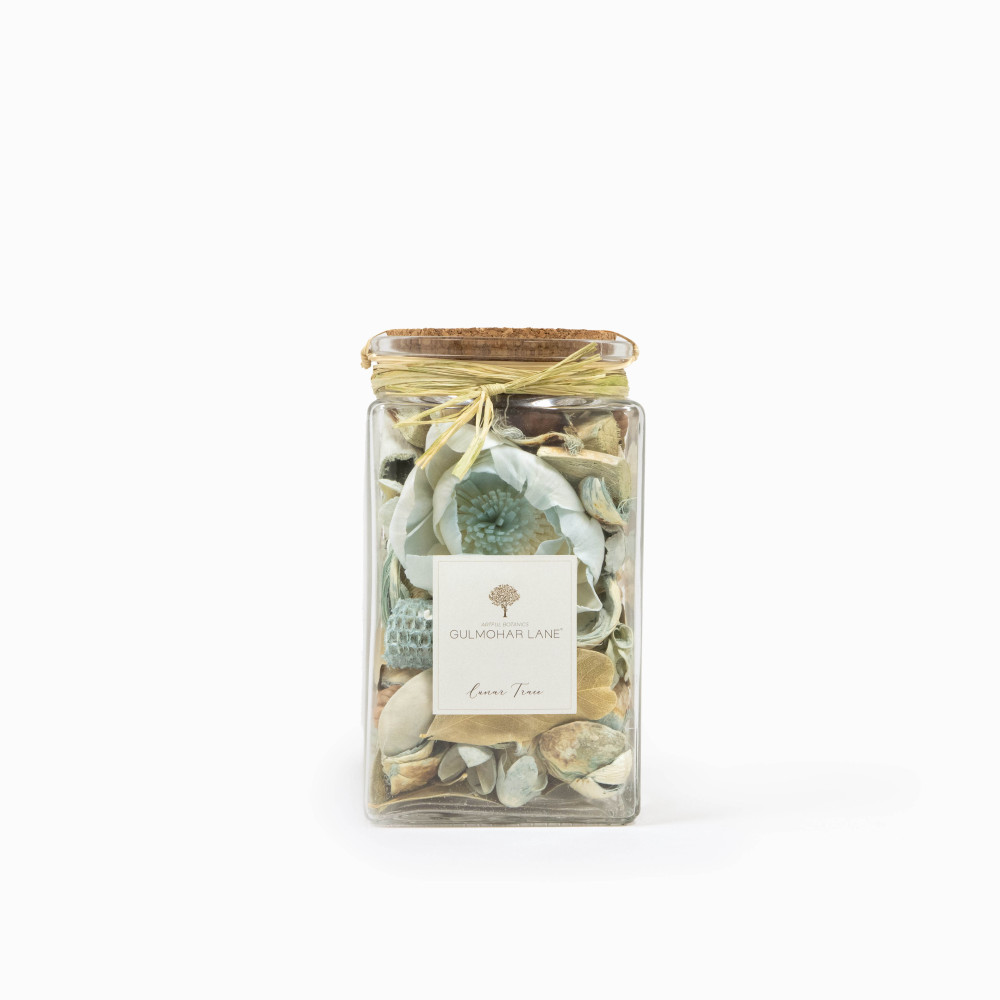 Lunar Trace Potpourri