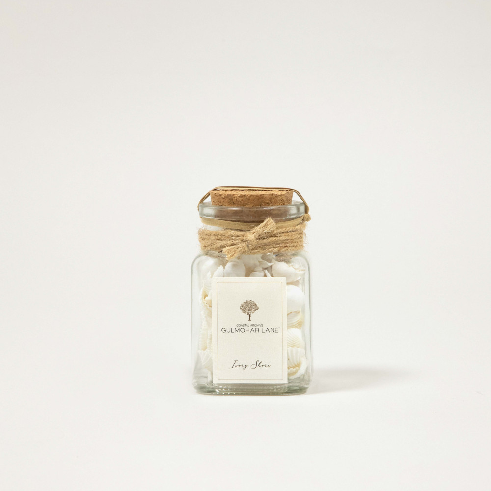 Ivory Shore  Decorative Seashells-Small