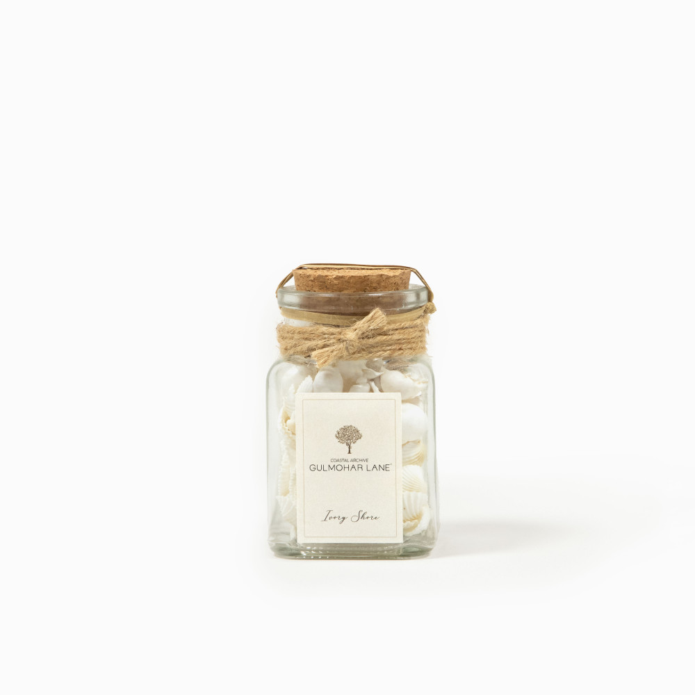 Ivory Shore  Decorative Seashells-Small