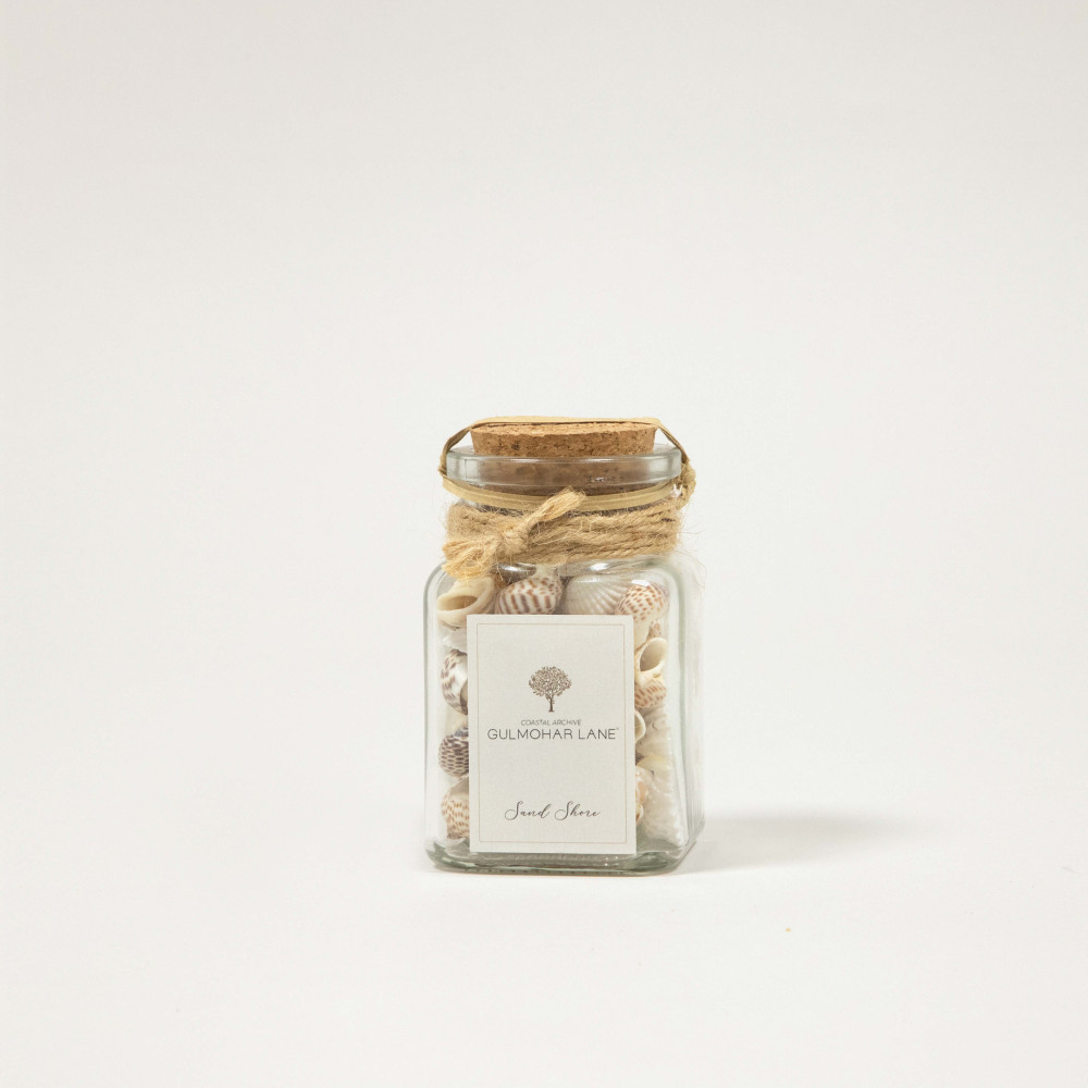 Sand Shore Decorative Seashells-Small