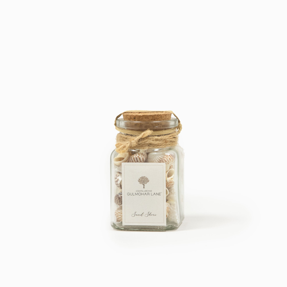 Sand Shore Decorative Seashells-Small
