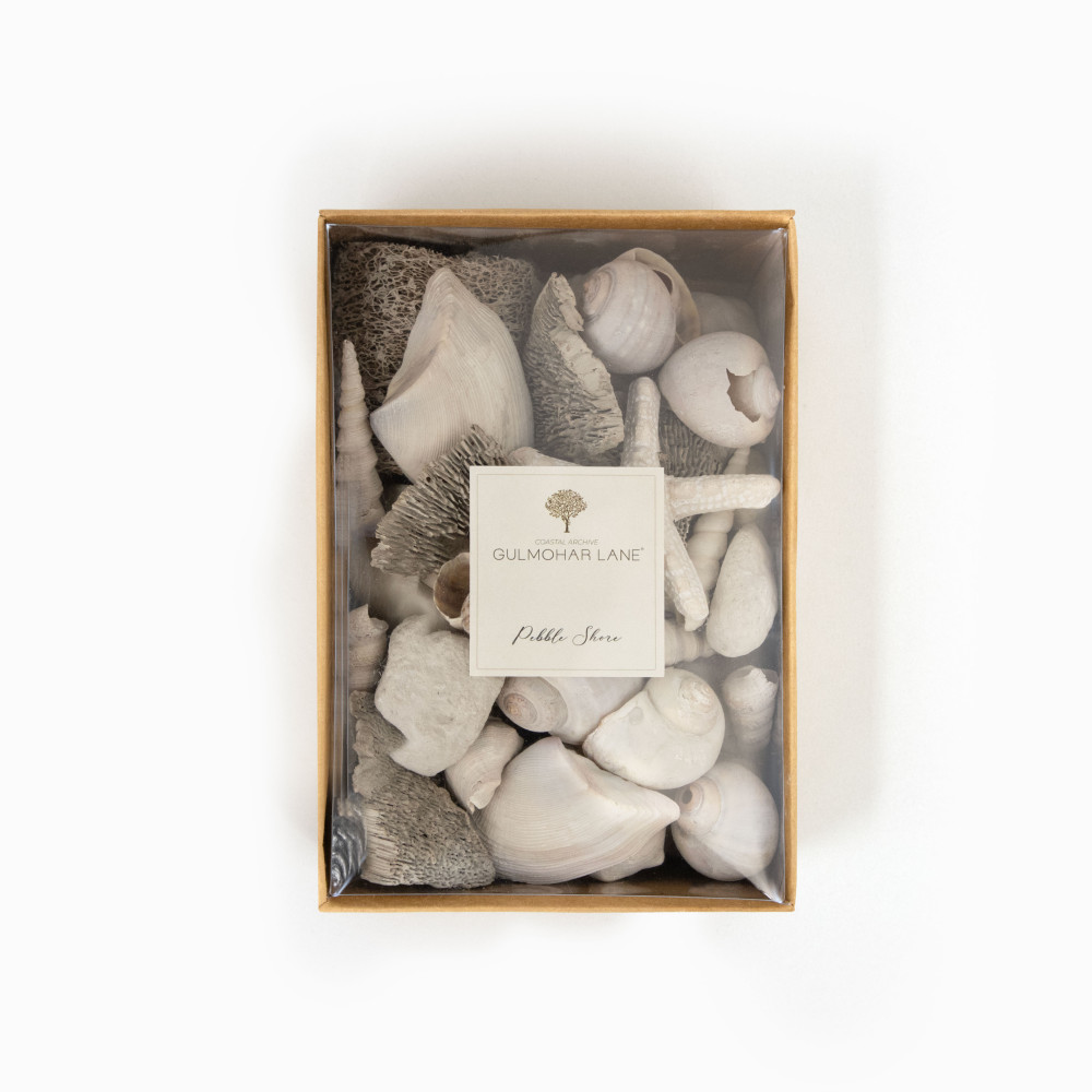 Pebble Shore Decorative Seashells-Large