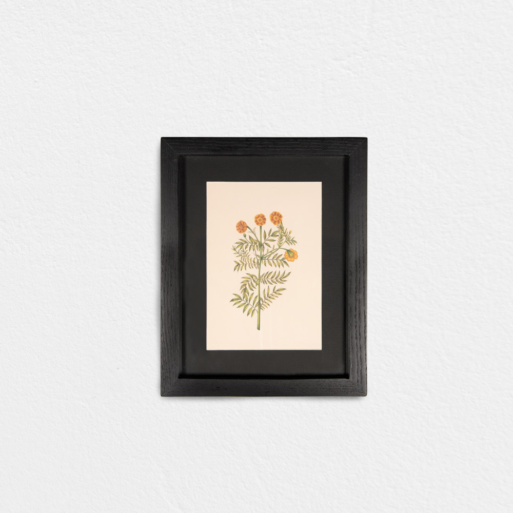 Single Marigold Stem