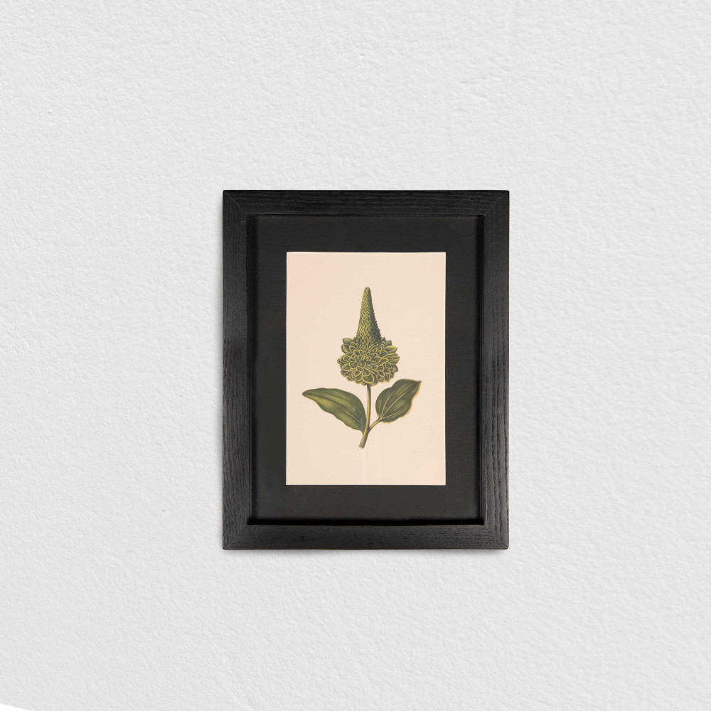 Verdant Sage Crown