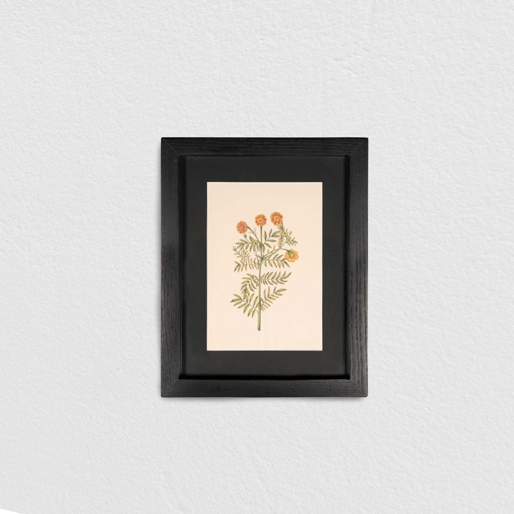 Single Marigold Stem