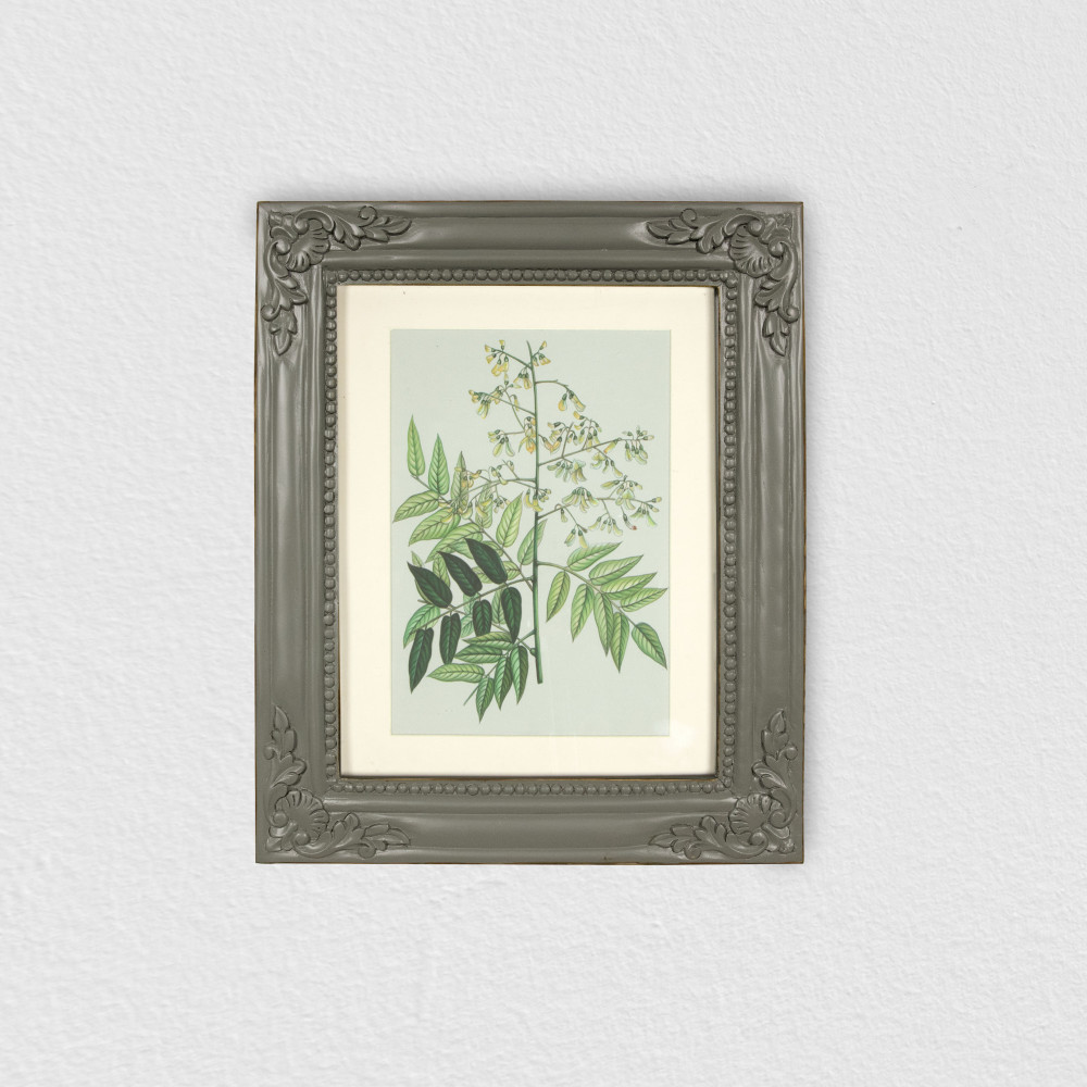 Persian Lilac in Bloom Printed Artwork