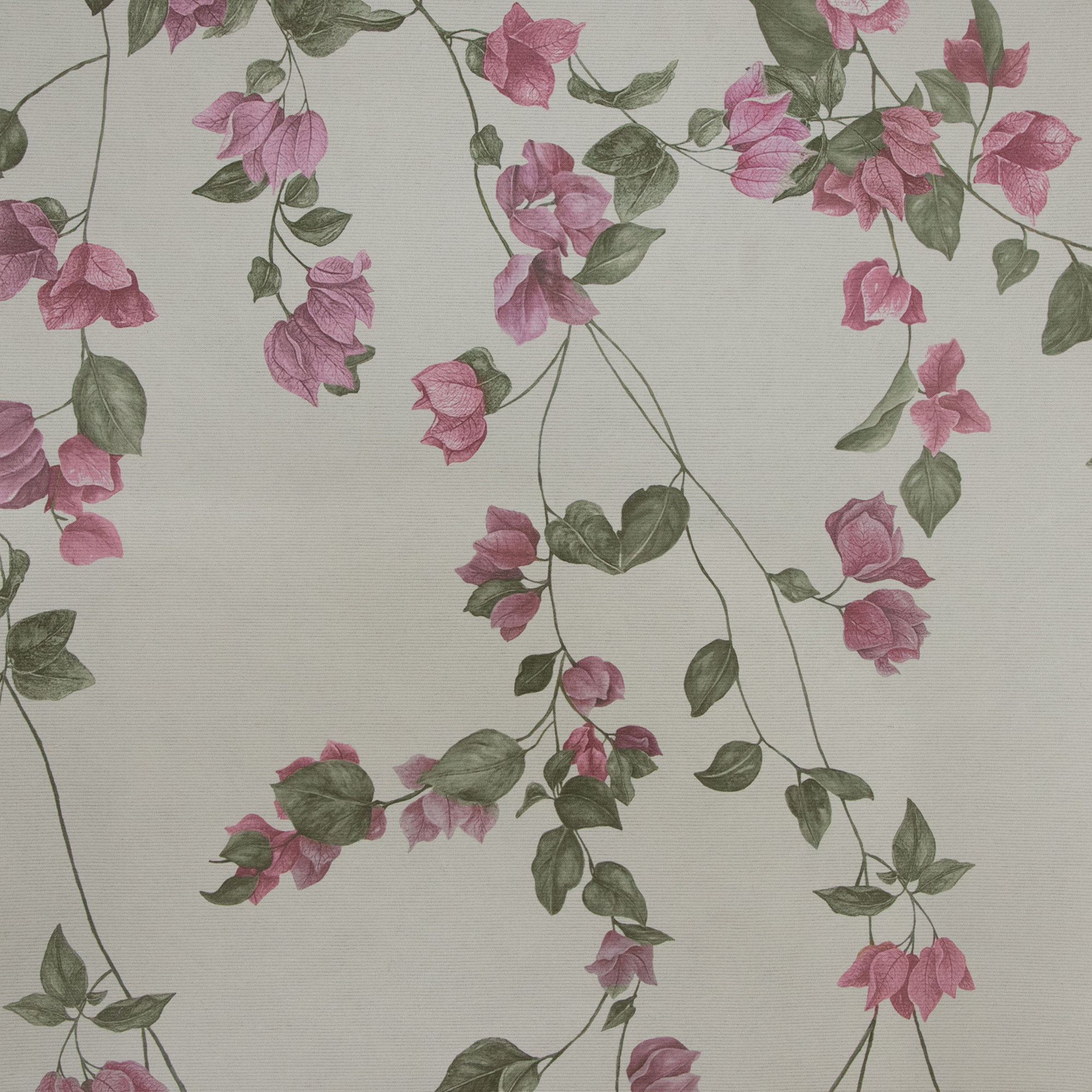 SUMMER BOUGAINVILLEAS - WALLPAPER