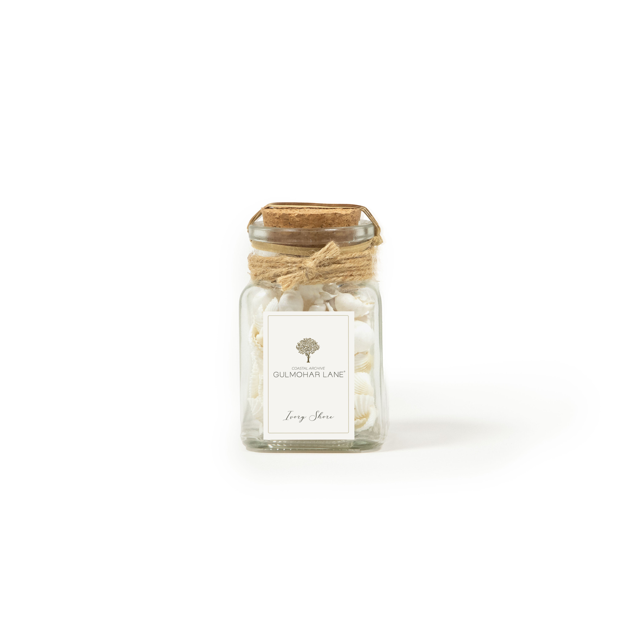 IVORY SHORE DECORATIVE SEASHELLS-SMALL
