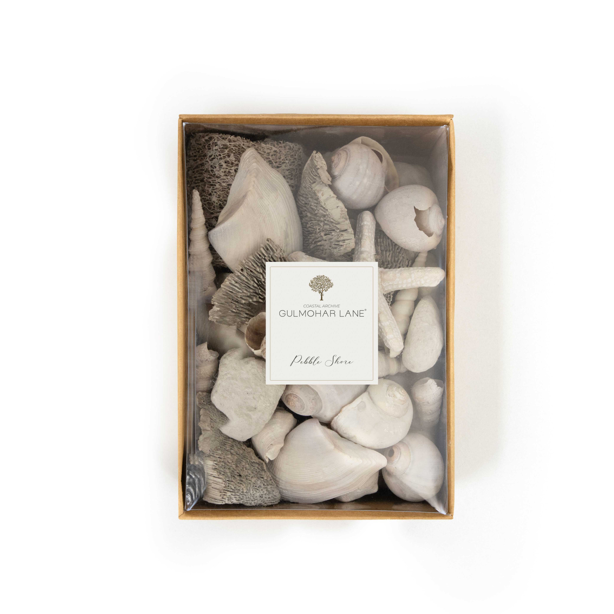 PEBBLE SHORE DECORATIVE SEASHELLS-LARGE