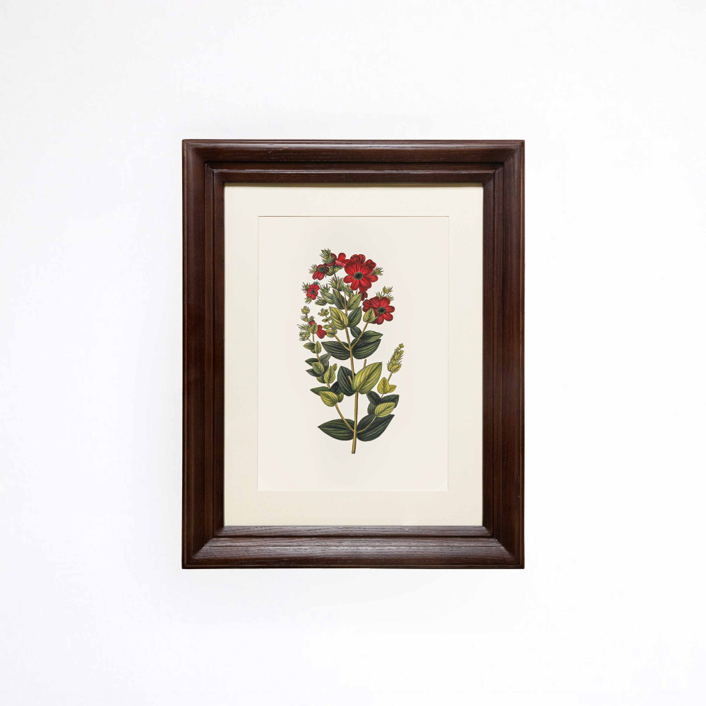 Scarlet Flowers Printed Artwork