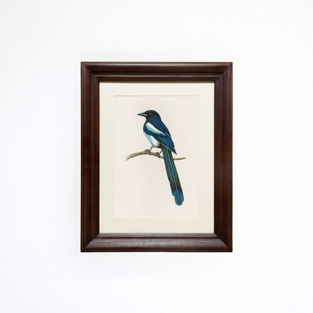 The Watchful Magpie Printed Artwork