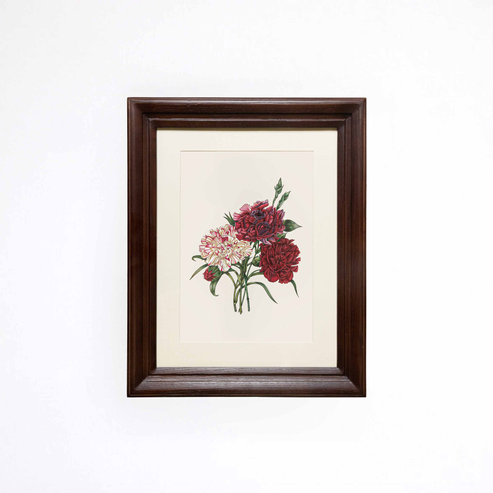 A Symphony of Carnation Printed Artwork