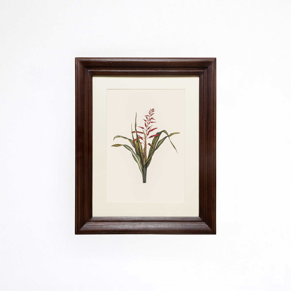 The Scarlet Spire Printed Artwork