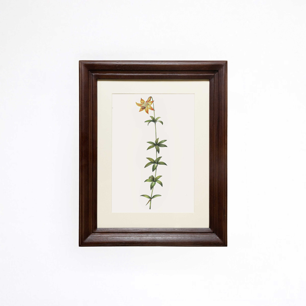 The Spotted Meadow Bell Printed Artwork