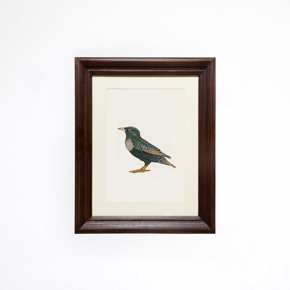 Perched Starling Printed Artwork