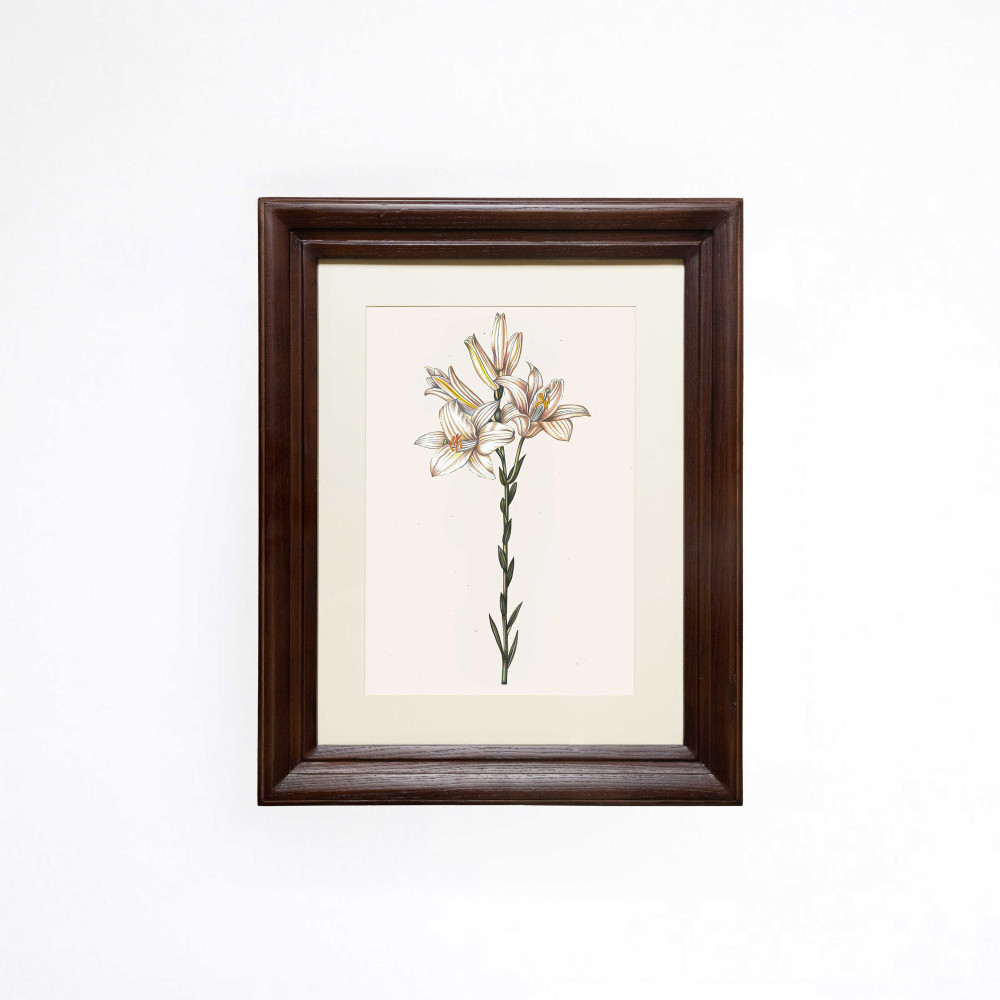 Meadow Lily Bunch Printed Artwork