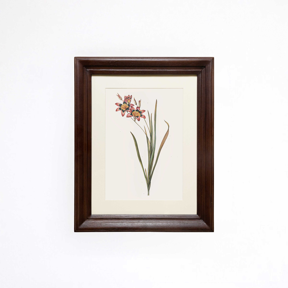 The Tri-color Wandflower Printed Artwork